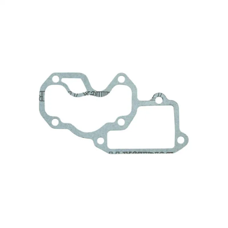 Intake manifold tarpinė Lombardini 502 FOCS / Progress